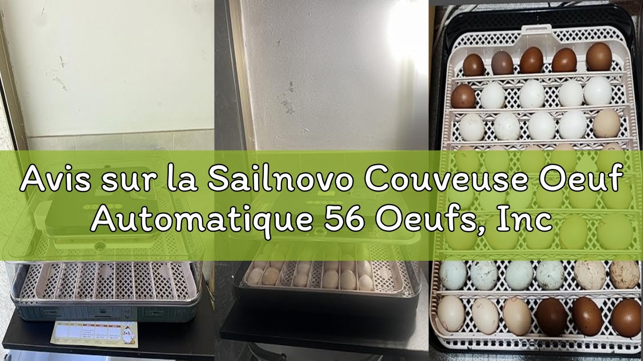Avis sur la Sailnovo Couveuse Oeuf Automatique 56 Oeufs, Incubateur Oeuf Automatique avec Retourneme