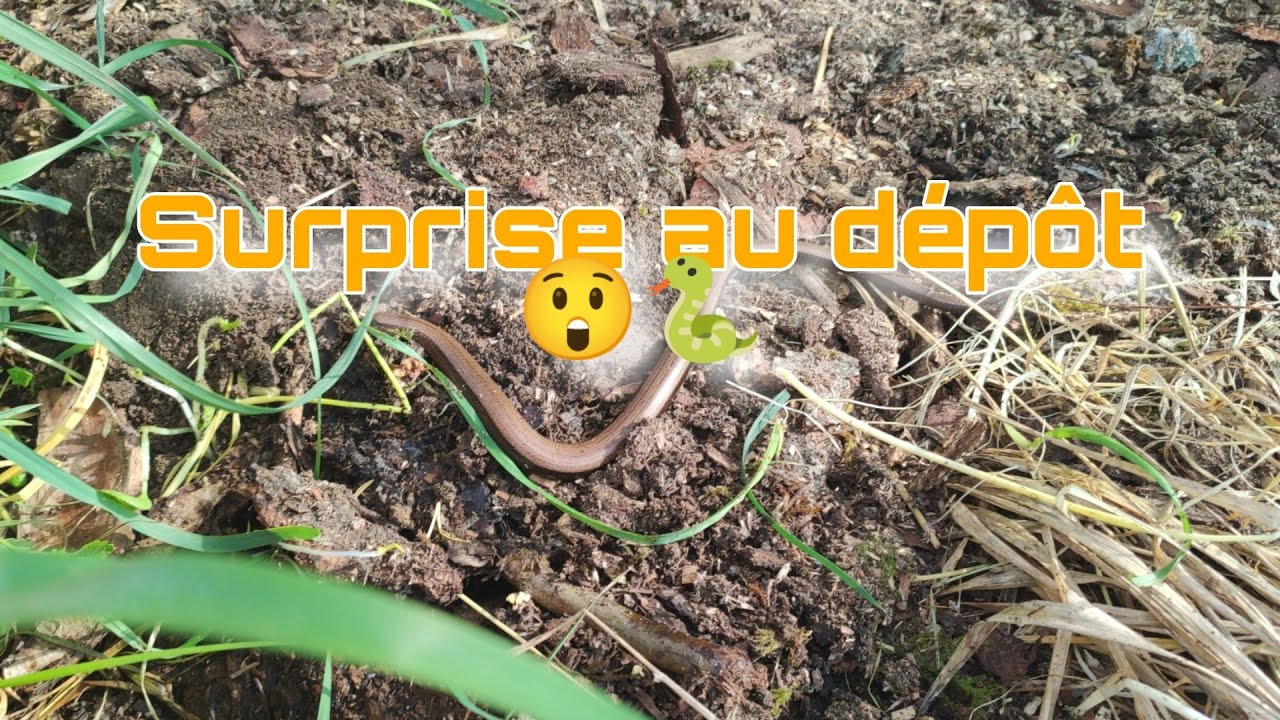 Aménagement du dépôt 👍😲( en chantier)