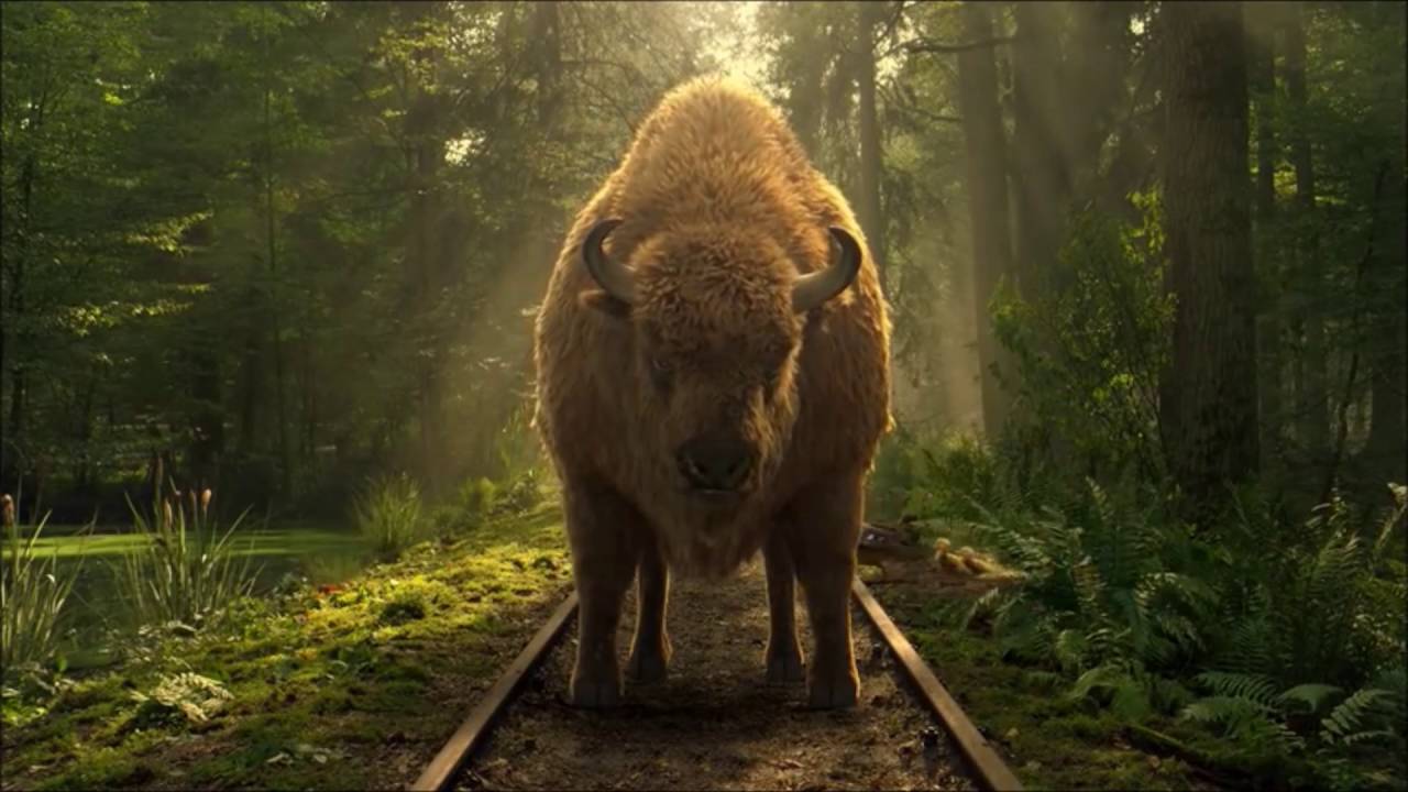 Żubr reklama komunikacja
