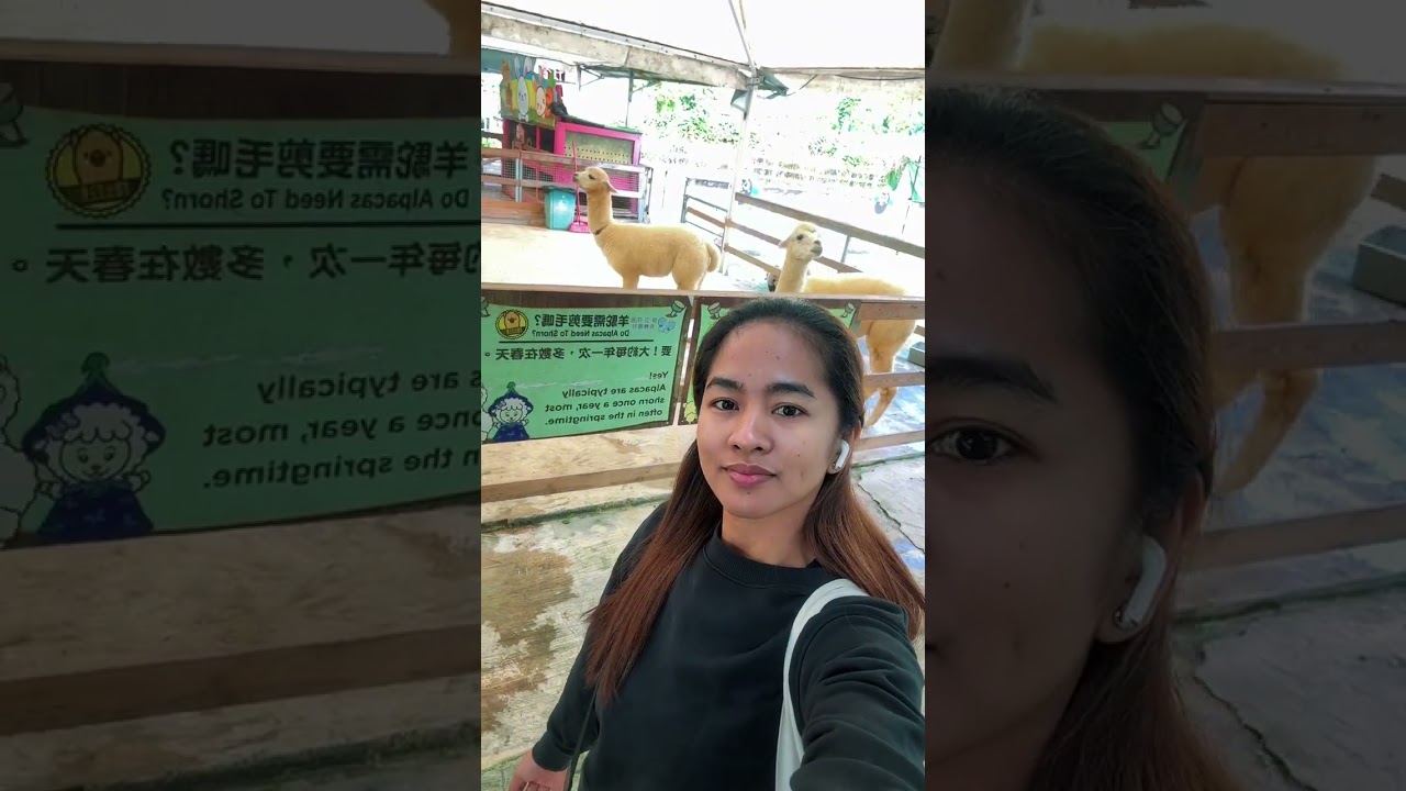 Tai po farm hong kong | Dh in hong kong 