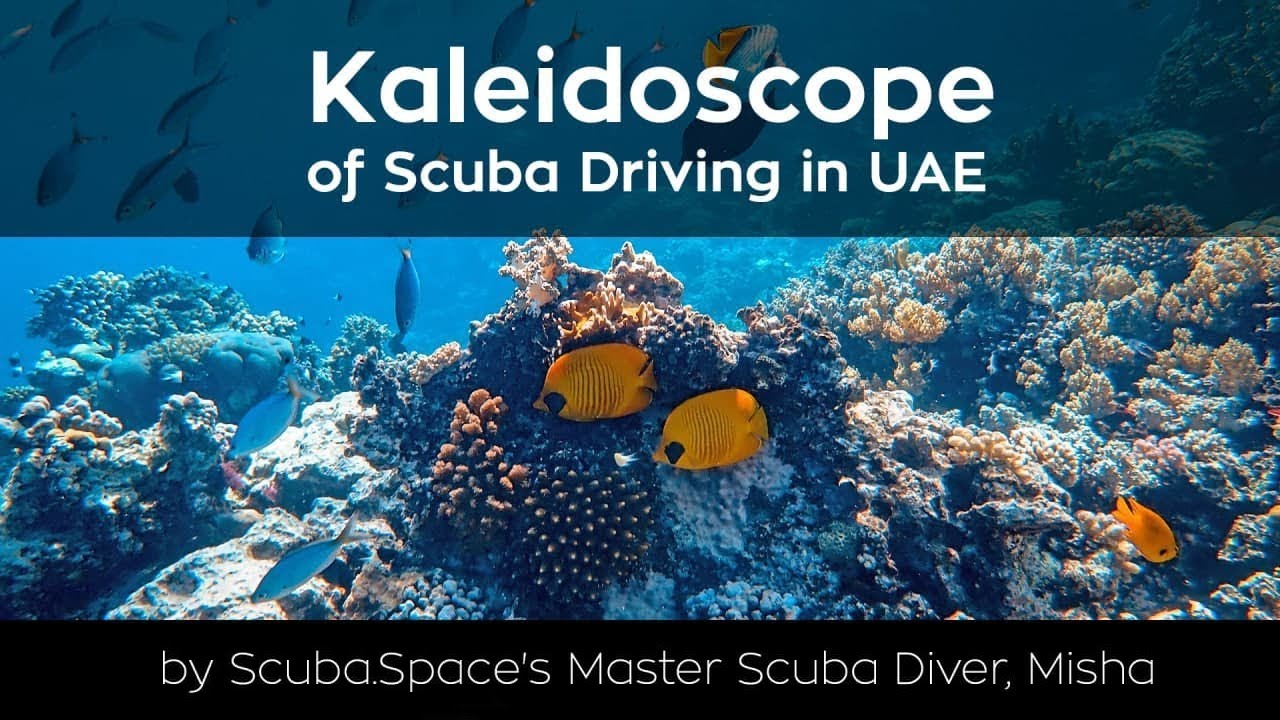 A kaleidoscope of Scuba Diving in Dubai and Fujairah, UAE - 4K