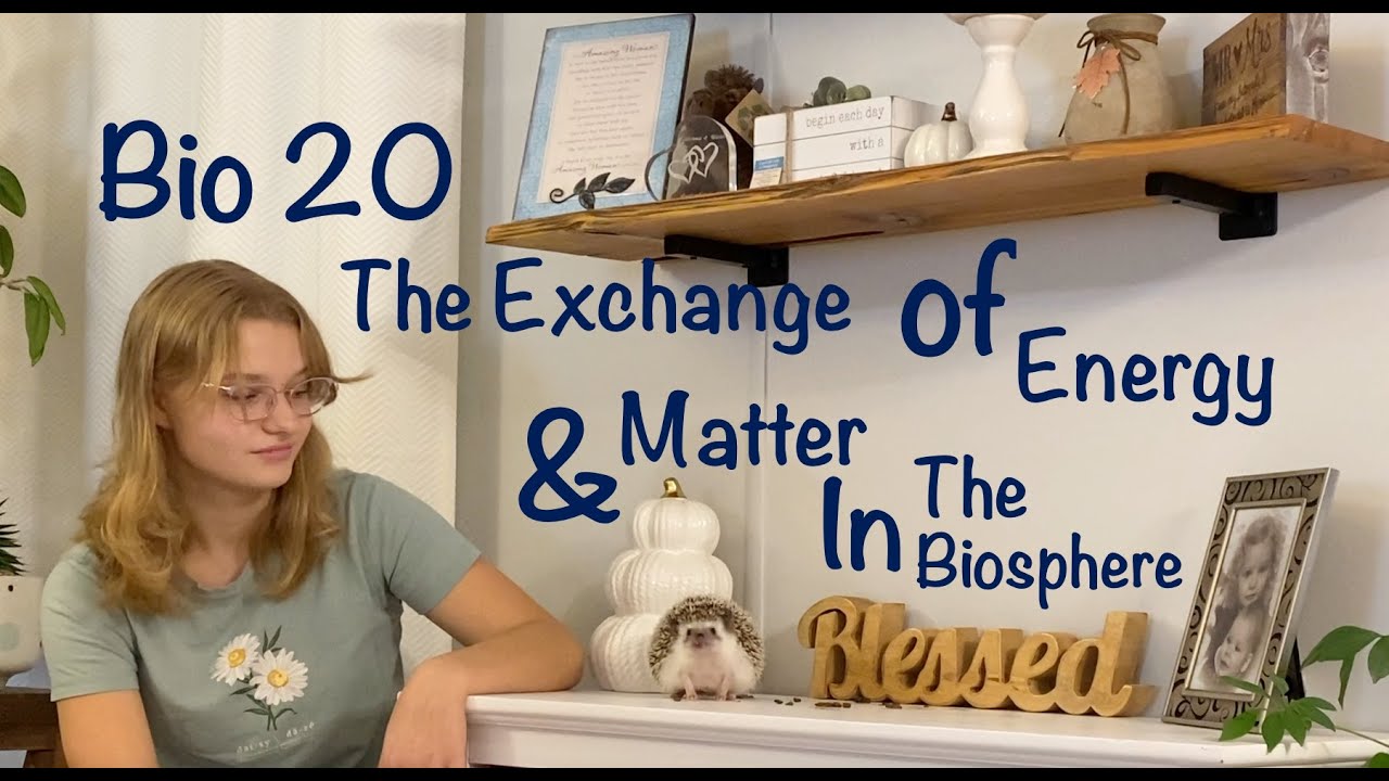 Bio 20 The Exchange of Energy and Matter in the Biosphere - With Nemo