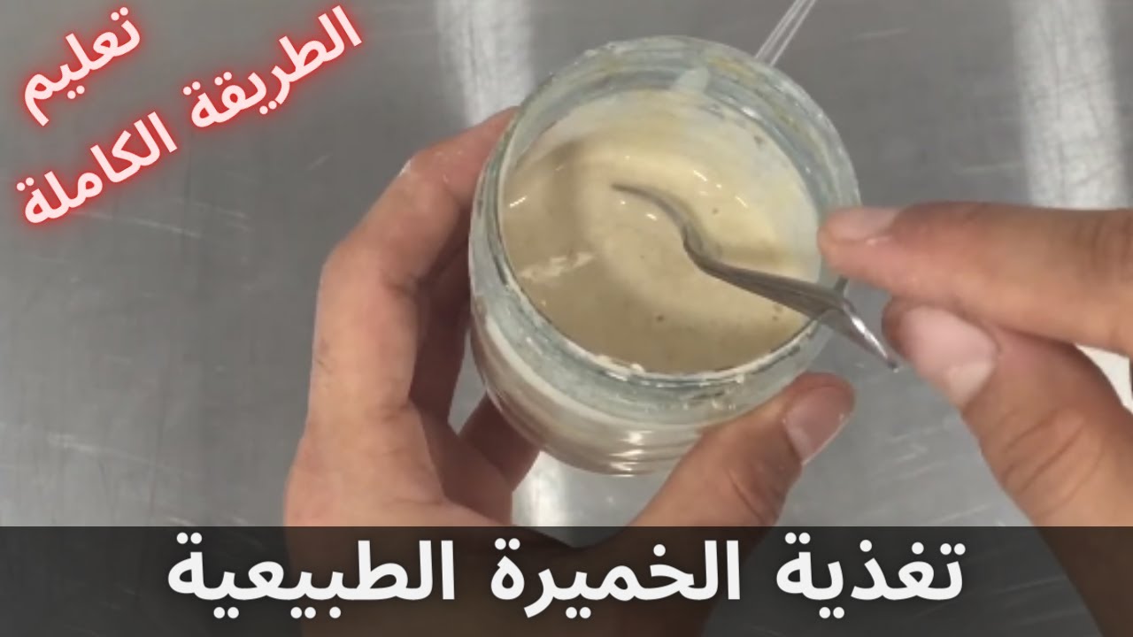 تغذية الخميرة الطبيعية والحفاظ عليها