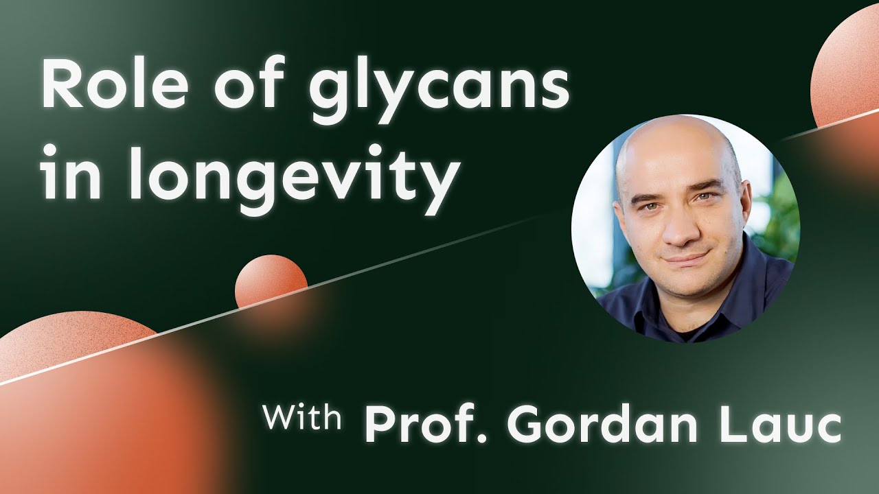 Role of glycans in longevity with Prof. Gordan Lauc | The Age of You