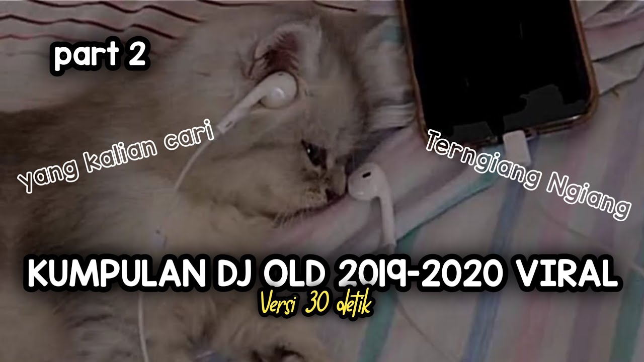 Kumpulan Dj Old 2019-2020 Viral Part 2