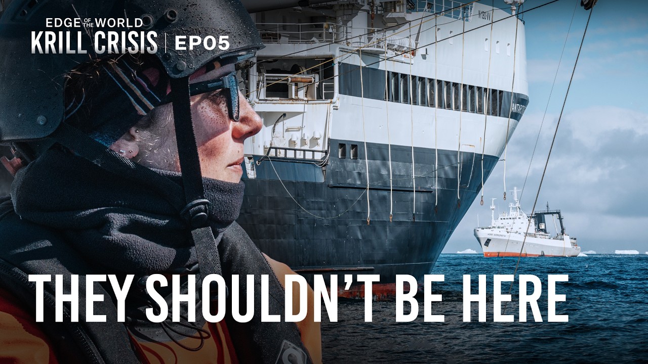 Face to Face With Antarctica’s Destructive Krill Fleet | Edge of the World: Krill Crisis | EP5