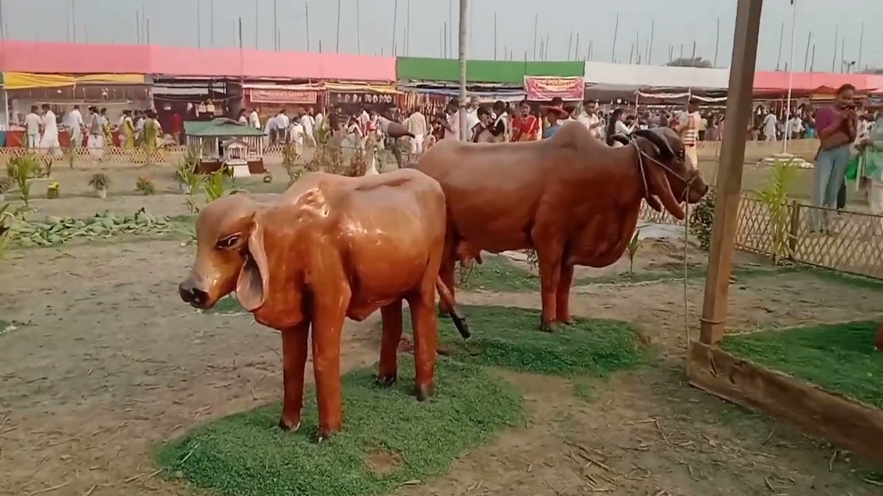 জয় গুৰু শংকৰ🙏🙏