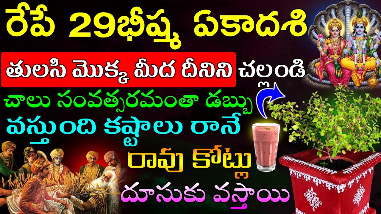 రేపే భీష్మ ఏకాదశి తులసి మొక్క మీద దీనిని చల్లండి చాలు సంవత్సరమంతా డబ్బు వస్తుంది కష్టాలు రానే రావు