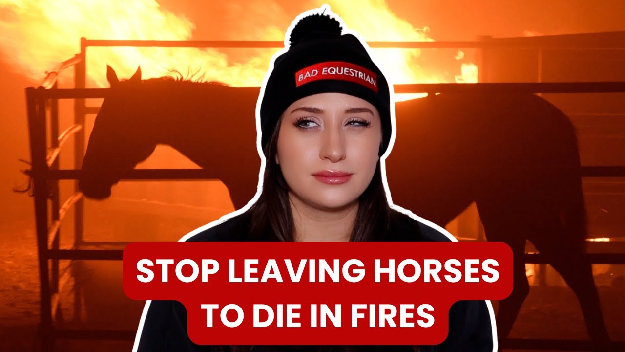 EQUESTRIAN REACTS to LA Fire Horse Evacuations, Rider Fails, & MORE  | Raleigh Reacts