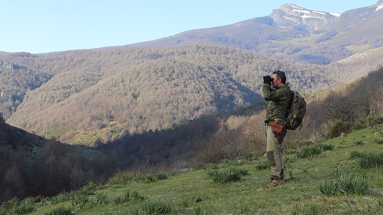 Bushcraft supervivencia, oso pardo, SOS atragantamiento, maniobra de heimlich, naturaleza wilderness