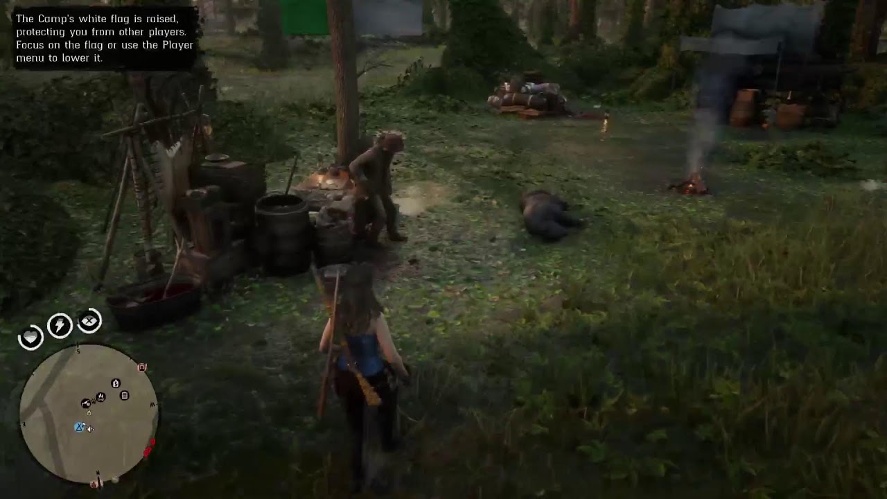 RedDead 2 Rockstar #RedDead #RockStar