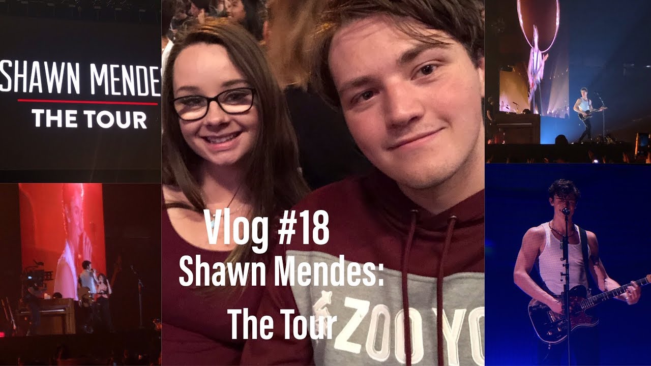 Vlog #18 | Shawn Mendes The Tour | Rogers Centre Toronto | Concert Junkies