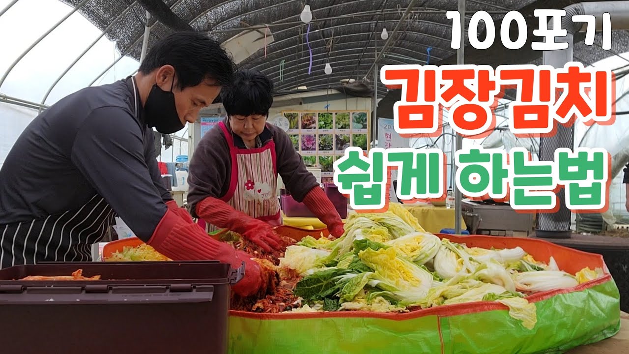 김장 김치 100포기 이렇게 담으면 실패 없다 풀 영상 korea kimchi making method