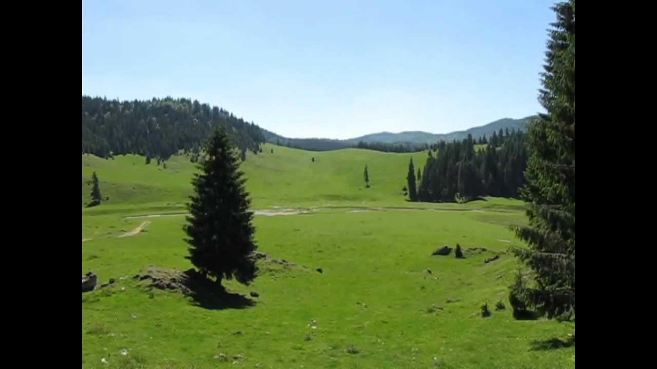 Poiana si Izbucul Ponor - Muntii Apuseni