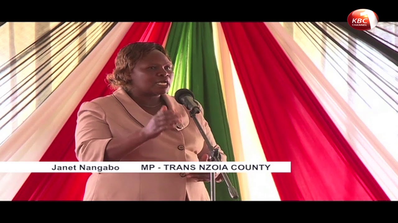 10 MPs from Western Kenya pledge to support DP Ruto