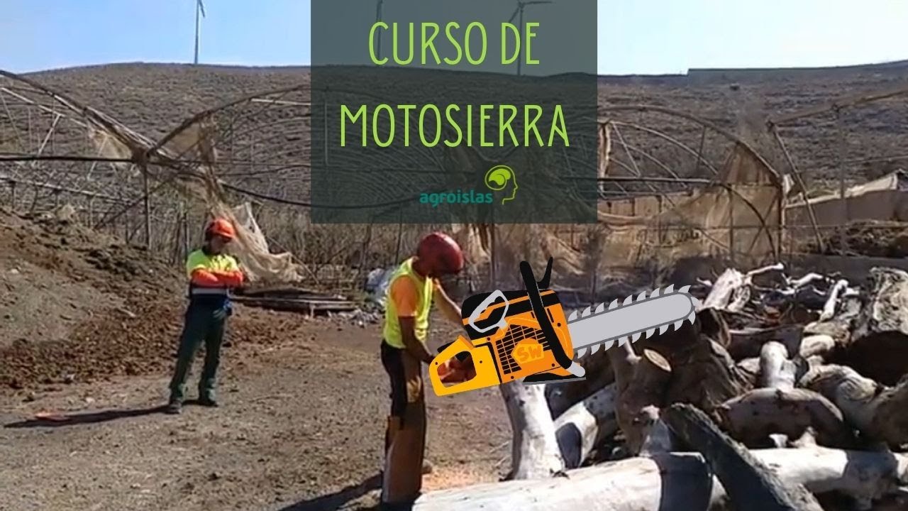 Clase pr&aacute;ctica del  CURSO DE MOTOSERRISTA | Agroislas