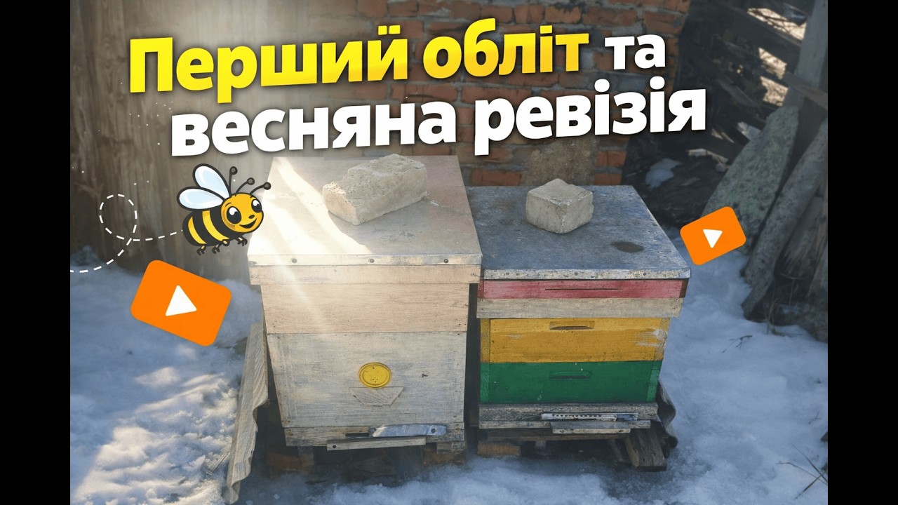 Перший обліт та весняна ревізія