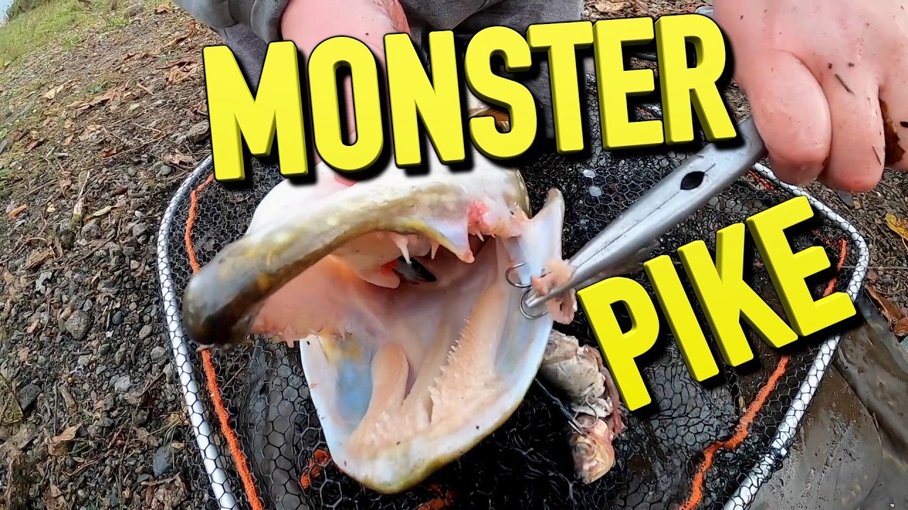Dead baiting For Pike: Here's How To Catch More Pike, I'd do this