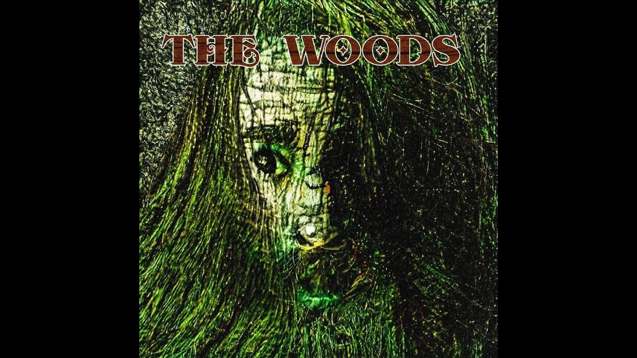 DAVID BARBIERI x DIGITALDUST - THE WOODS