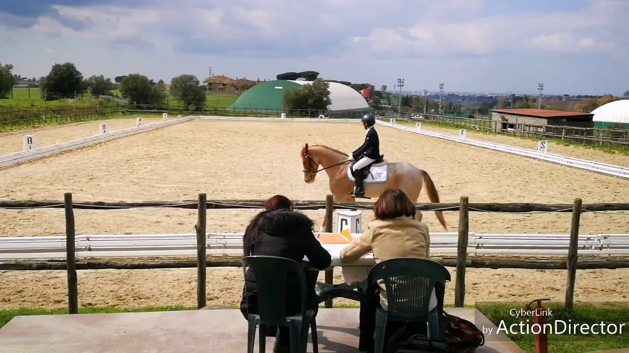 Leonardo Bizzarri & Birchlands Moonsoon ripresa di dressage E 300 2'classificati