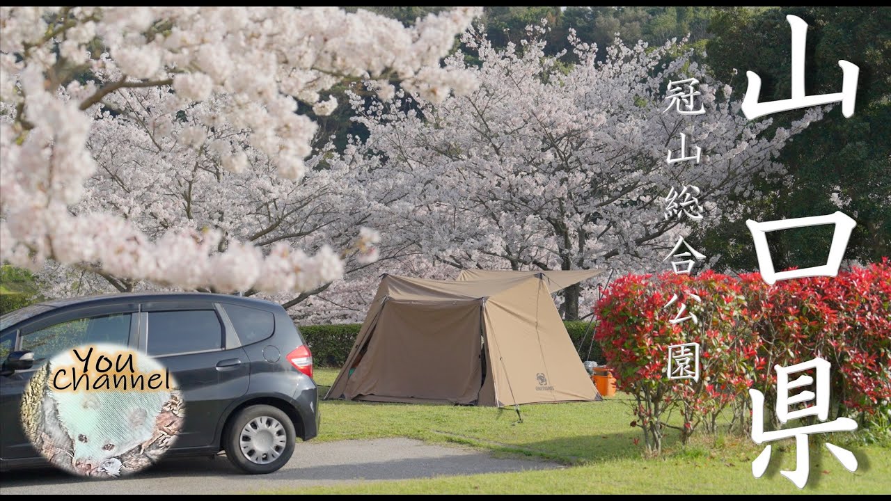【桜の見れるキャンプ場】山口県のキャンプ場　冠山総合公園オートキャンプ場（sony α7Sⅲ ＆ sony 24-70 F2.8 GM2）