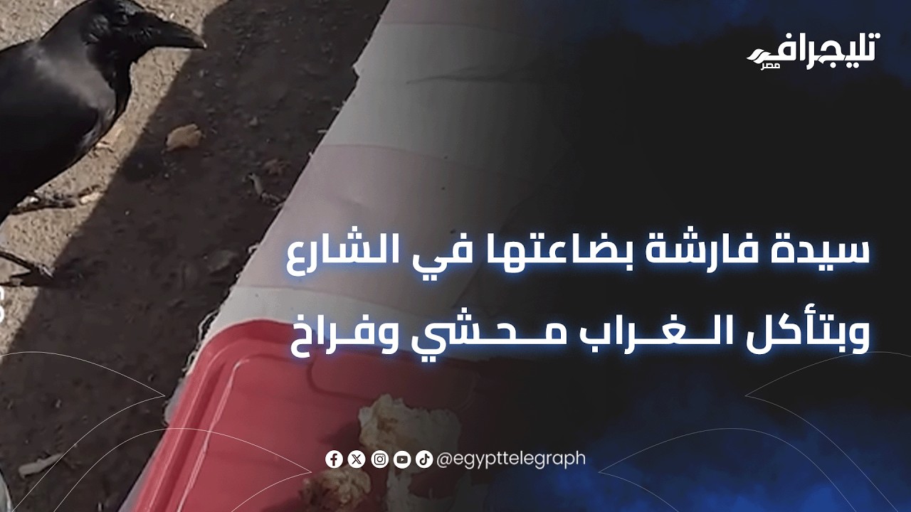 ده رزق من الله.. فيديو مؤثر لسيدة فارشة بضاعتها في الشارع وبتأكل الغراب محشي وفراخ
