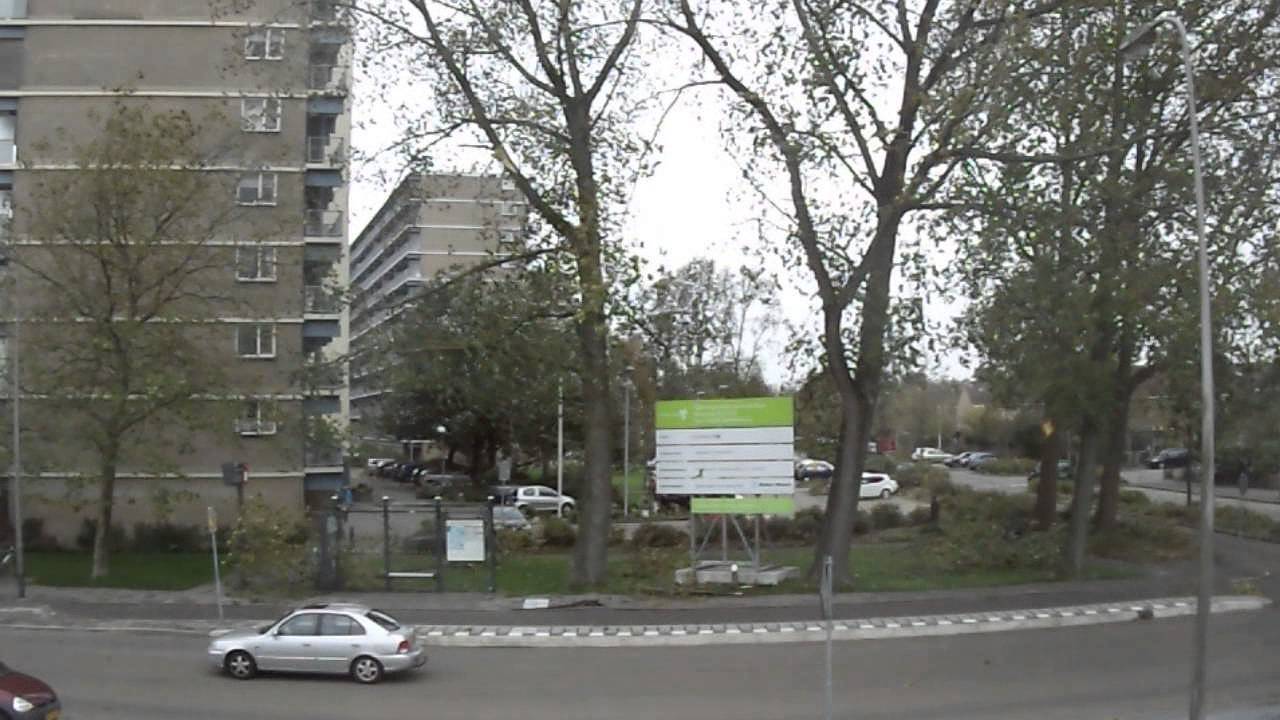 Omvallende boom in Purmerend neemt bushokje mee
