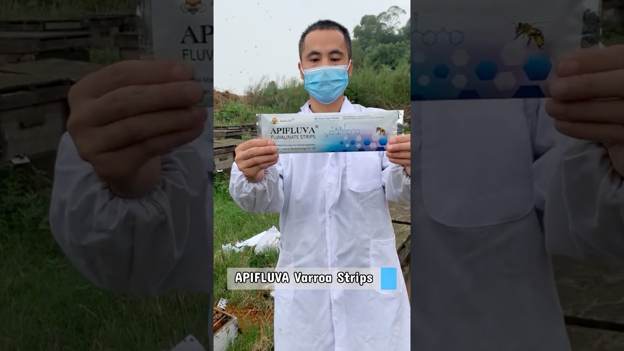 Apifluva Varroa Strips: Safe & Effective Protection for Bees Against Varroa Mites #beekeeping #bee
