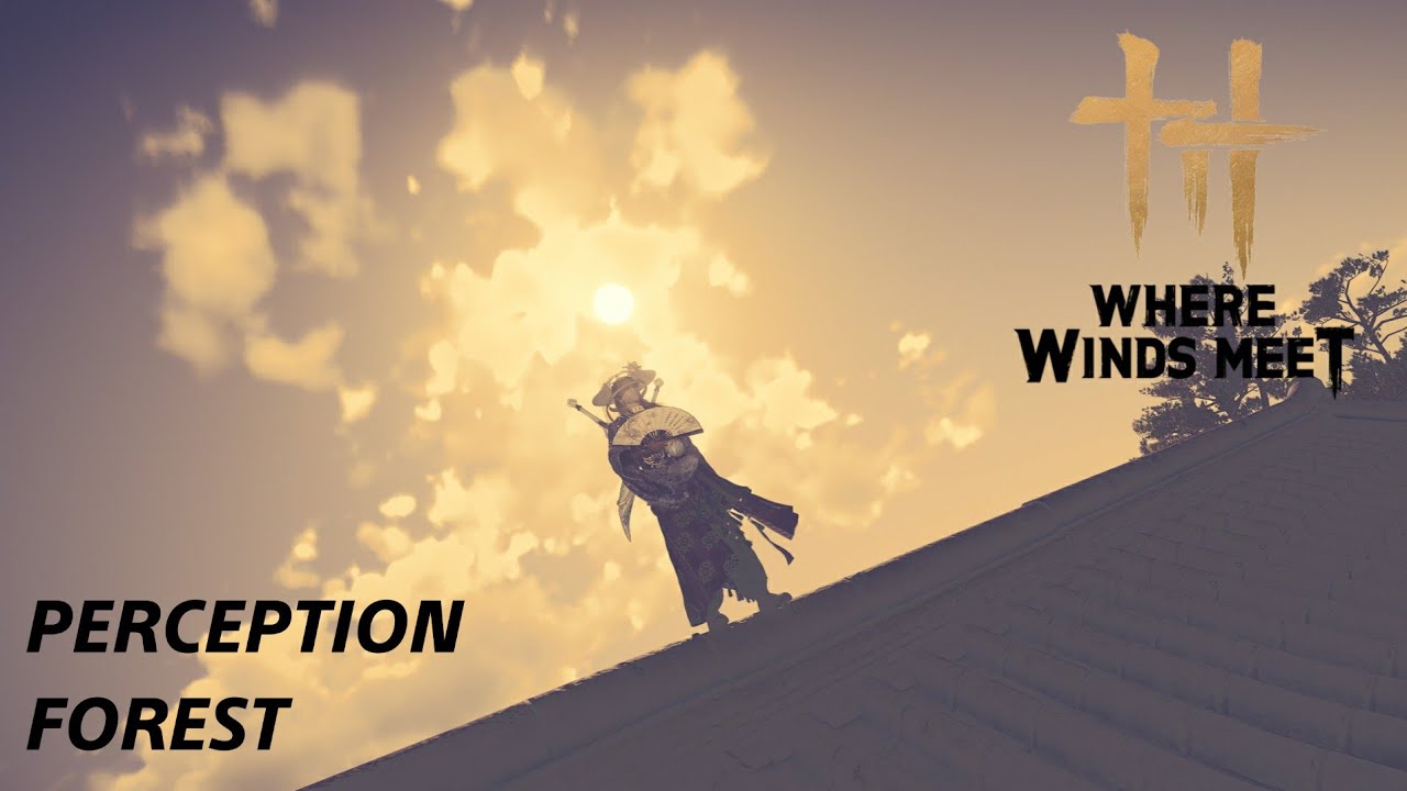 Perception Forest PvP | Where Winds Meet