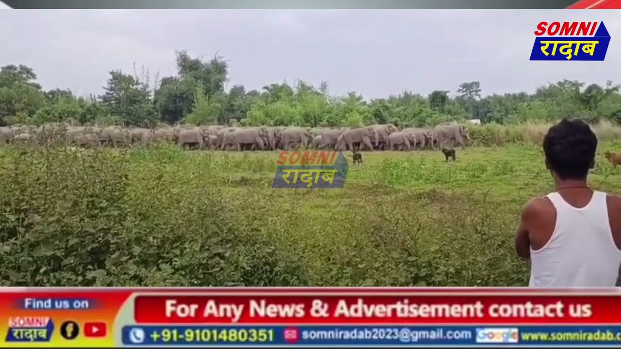 बाक्सा जिल्ला सिंनि भारत भुटान सिमानि नयाबाष्टी ओनसोलाव हाग्रानिफ्राय ओंखारबोनाय मैदेरनि फालो।