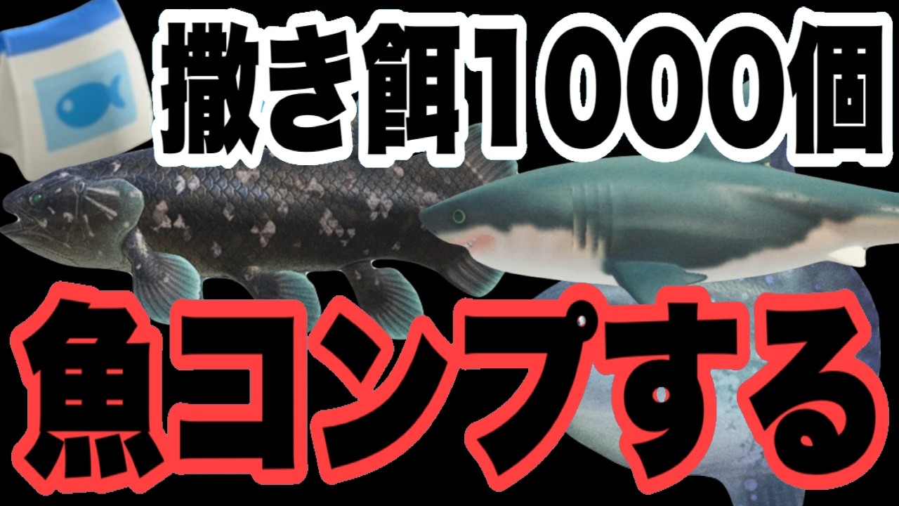 撒き餌を1000個集めたので魚コンプリートしますｗｗｗ　あつ森