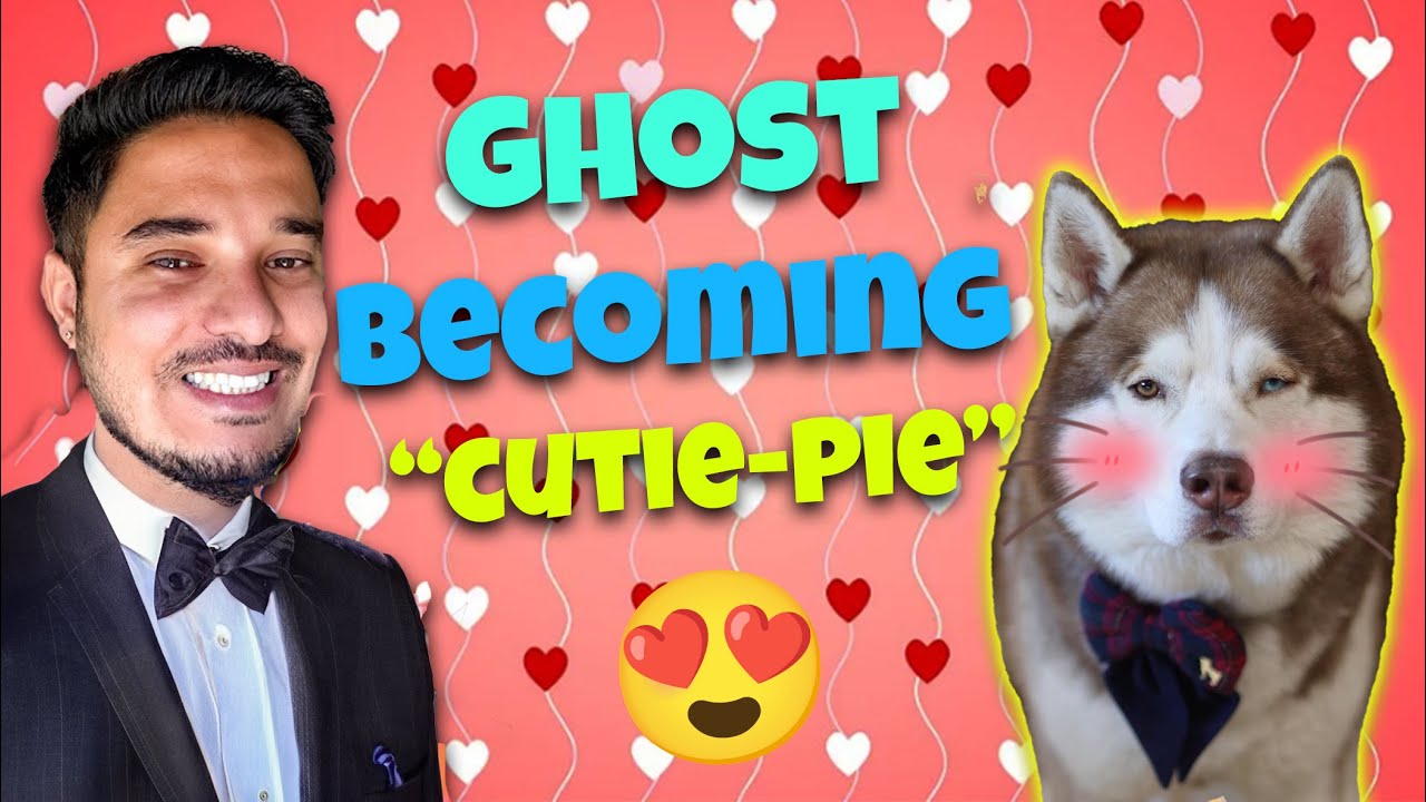 Ghostu pyar karne laga hai aajkal 😍🫣🎉 @THEHIMALAYANHUSKY