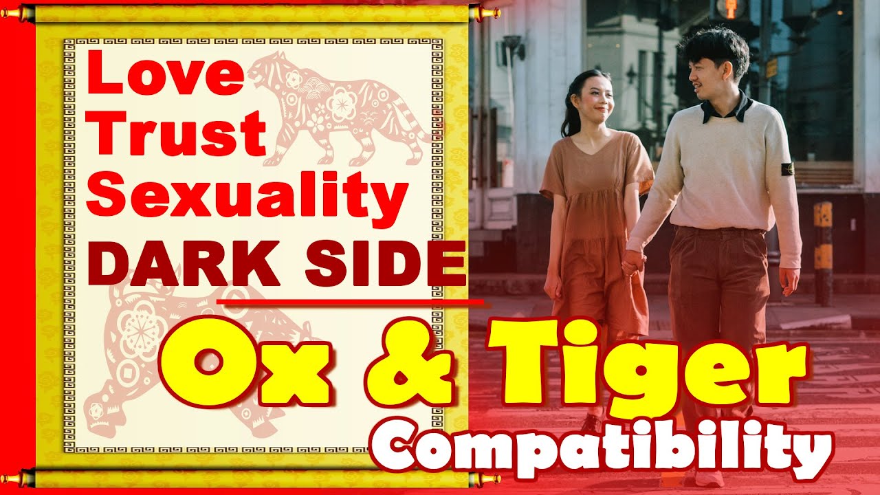 Ox and Tiger Compatibility in Love, Life, Trust, Intimacy | Ox & Tiger Chinese Zodiac Compatibility