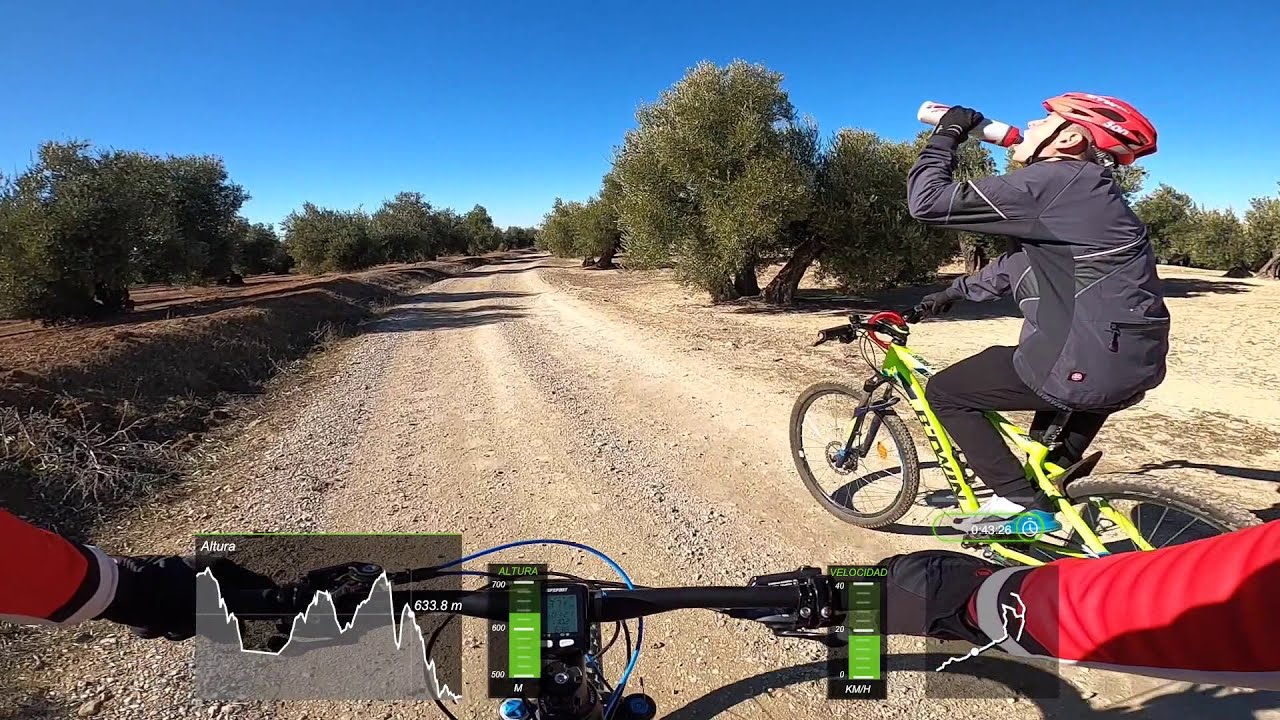 Ruta BTT (MTB) de confinamiento, sin salir de Baeza (Jaén)