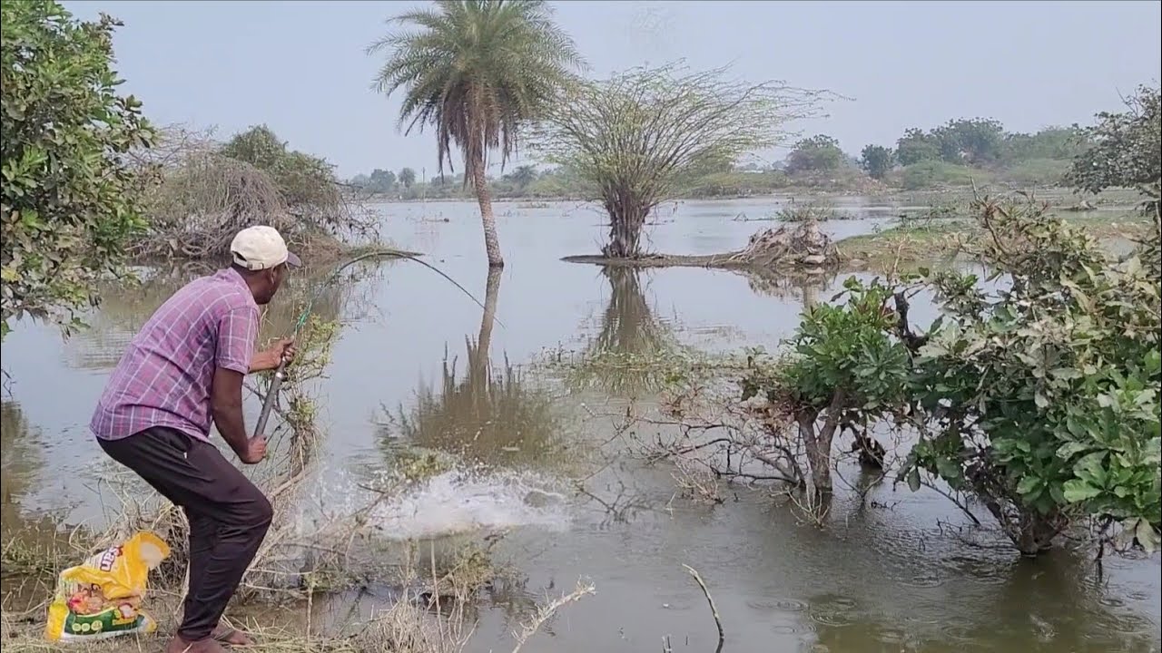 Best Fishing 🎣spot Single Hook to Catching Rohu Fishes unique Fishing 