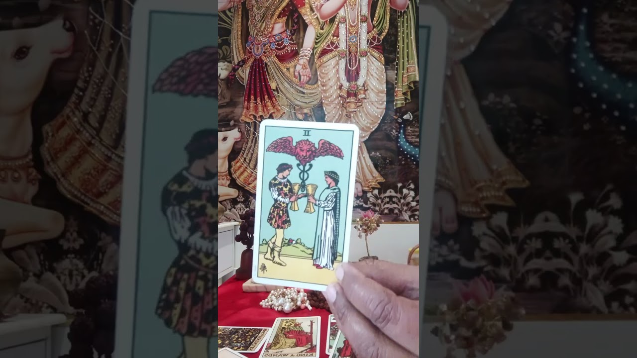 Mesh Aries Rashi #february monthly horoscope #terot with Rashi #divinevinuastro #no Sun sigh 