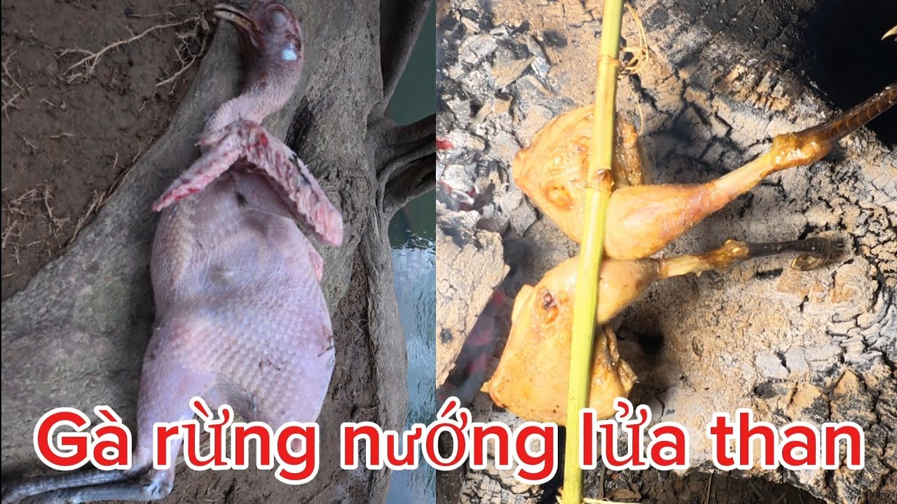 BẪY GÀ,CẮM TRẠI,NGŨ RỪNG VÀ ẨM THỤC BÊN SUỐI...