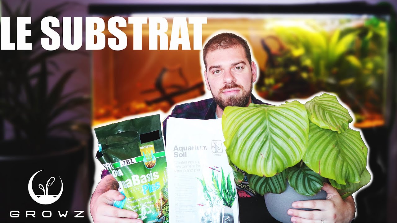 LE SUBSTRAT EN AQUARIUM !