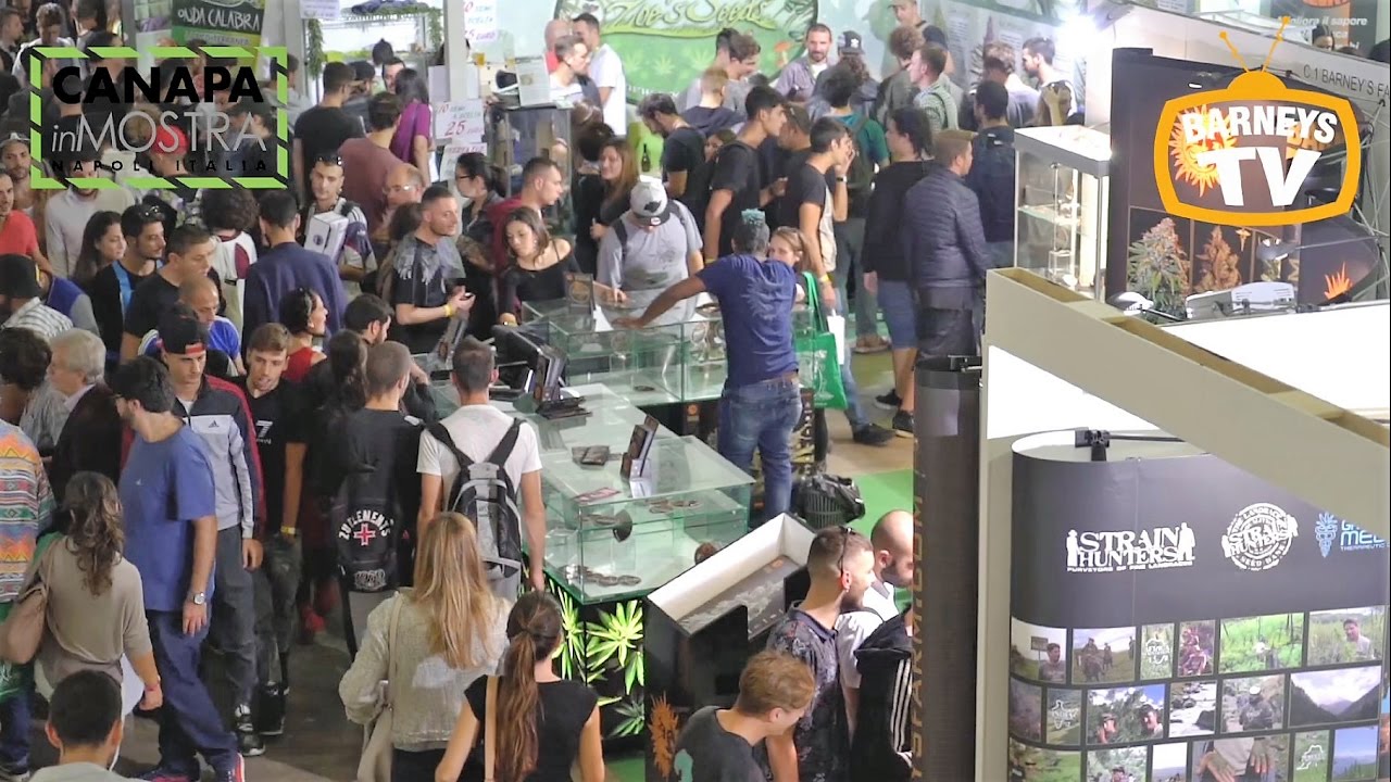 Barneys Farm @ Canapa in Mostra -2016 - Napoli - Barneys TV