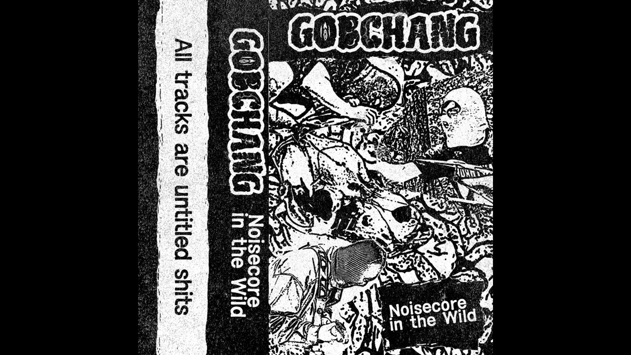 GobChang - Noisecore In The Wild [2025 Noisecore] (Full Album)