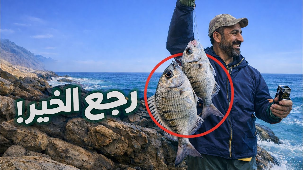 رحلة صيد سمك الشرغو على الصخرة مع الرياس  من منتصف النهار حتى المساء