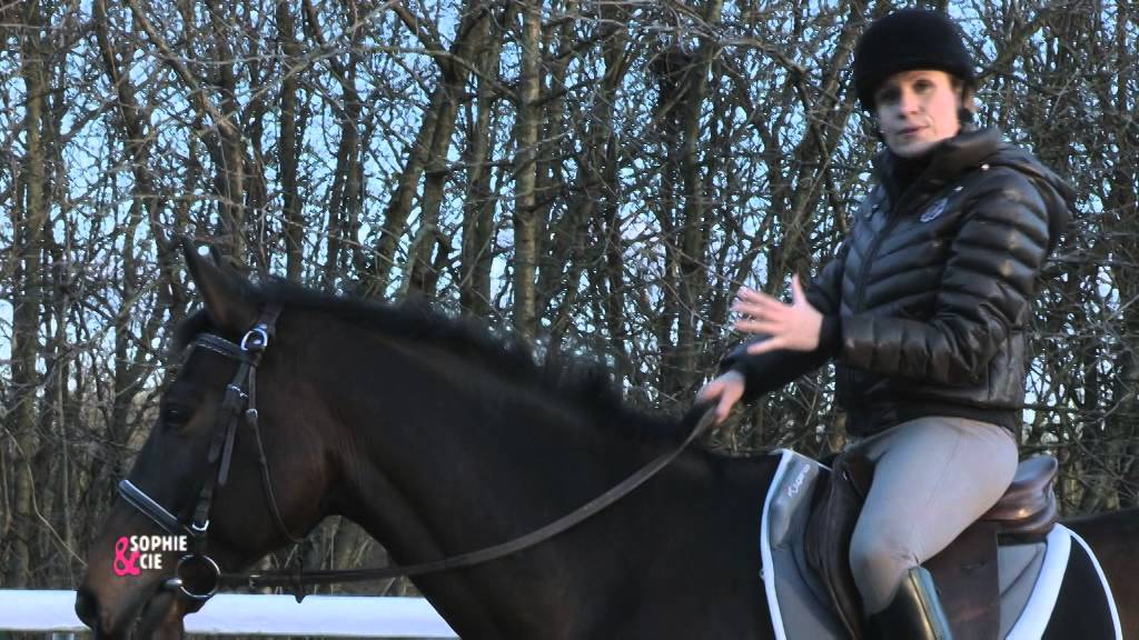 Muscler le dos de votre cheval, au trot - Equidia Life