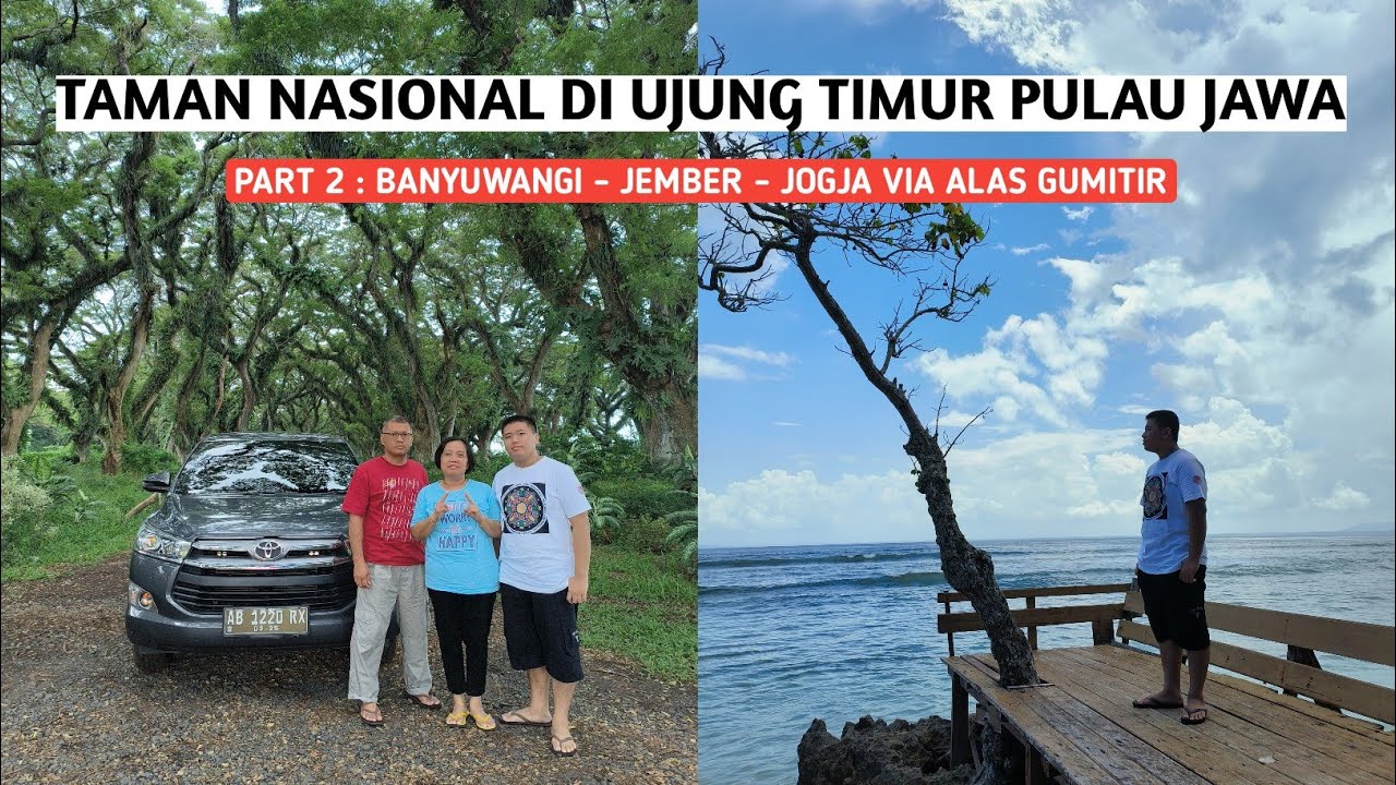 EXPLORE TAMAN NASIONAL ALAS PURWO | ROAD TRIP JOGJA - BANYUWANGI (PART 2) INNOVA DIESEL