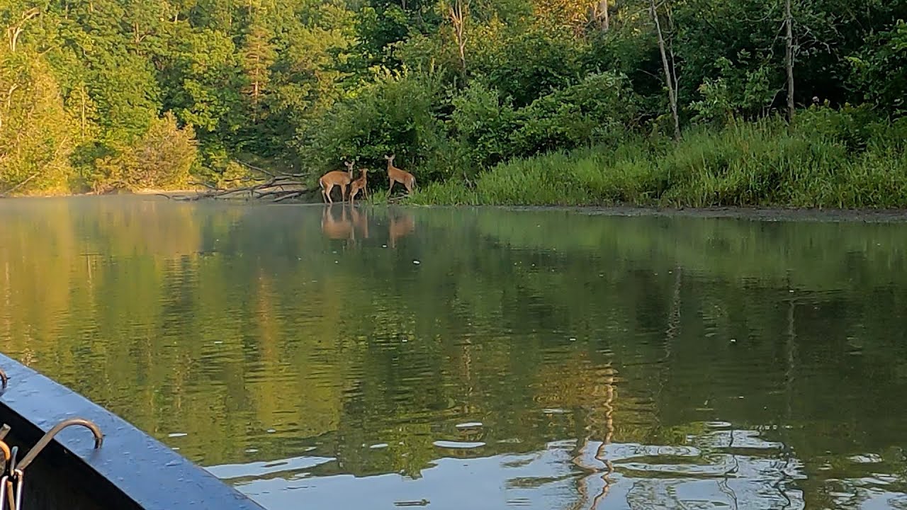 57 mile overnight canoe trip on the Big Manistee River - June 2024