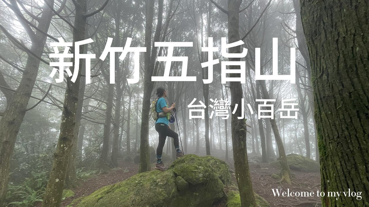 新竹五指山 | 五指連峰連走 | 臺灣小百岳 | 新竹的人氣步道