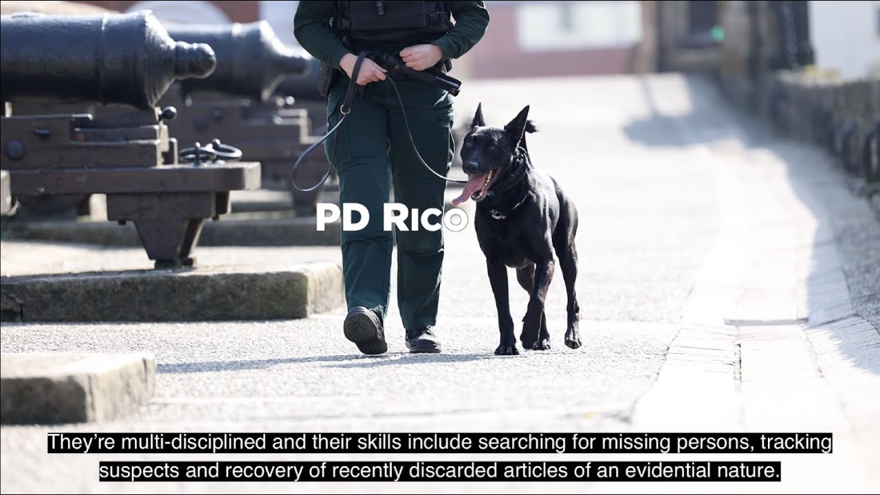New Police Dog Section based in Maydown