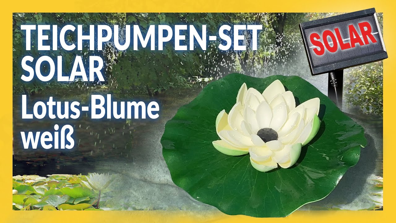 Solar-Teichpumpen-Set Lotus-Blume wei&szlig;