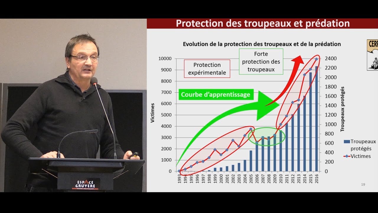 La faillite des moyens de protection face aux loups 