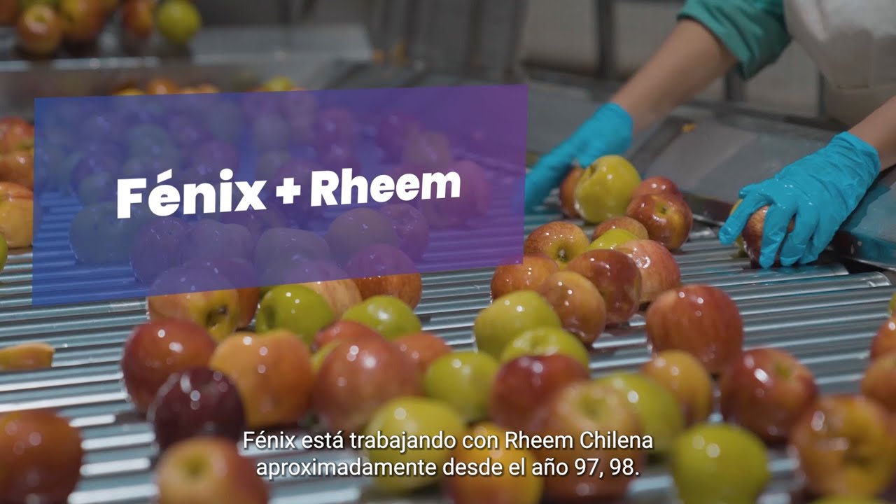 Caso de estudio - FENIX / RHEEM