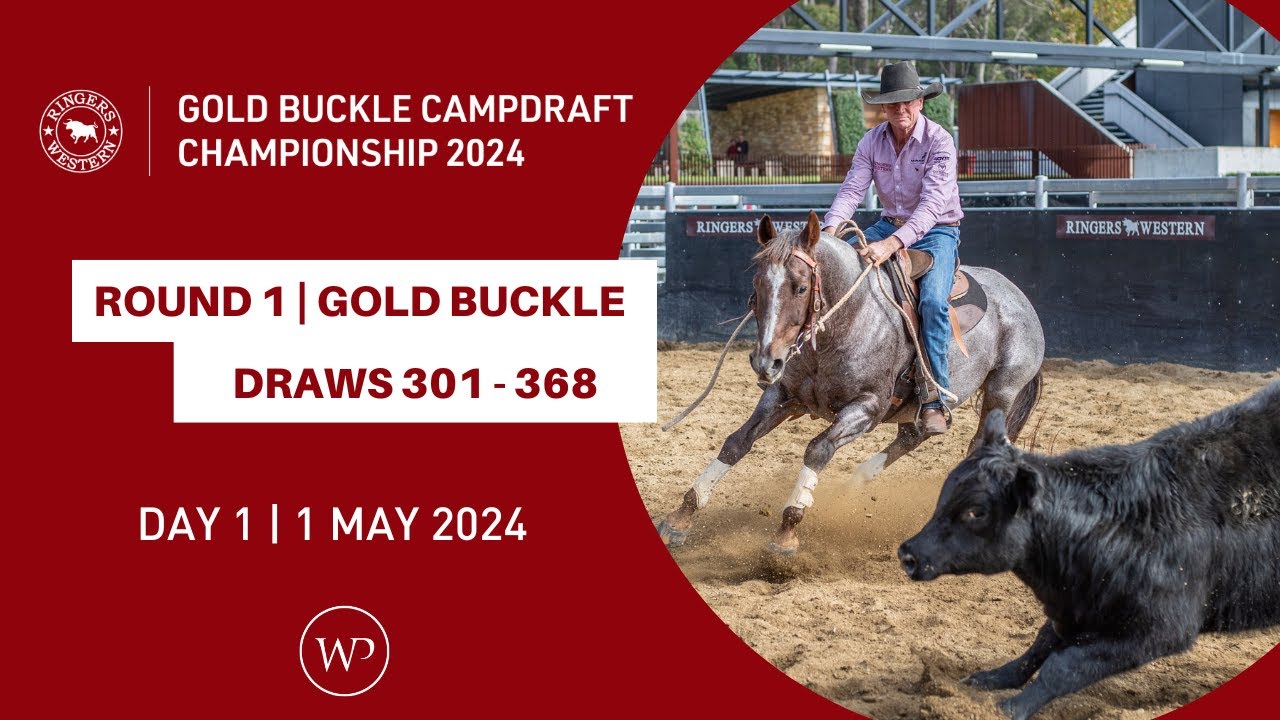 ROUND 1 | Ringers Western Gold Buckle Campdraft Championship 2024 | Draws 301 - 368